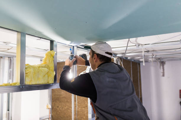 Best Specialized Insulation Services in Stallings, NC